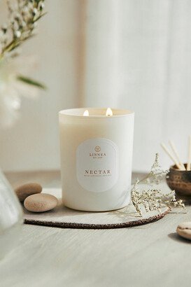 Linnea Candle, Nectar