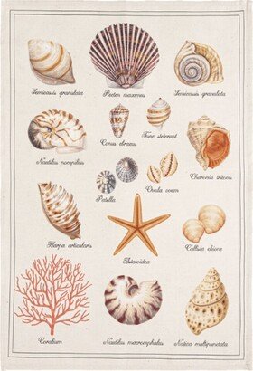 Coucke Set Of 2 Seashells Tea Towels