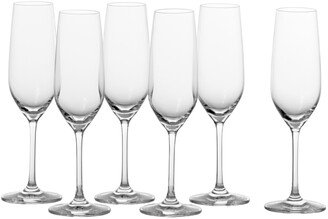 Forte Flute Champagne, 7.7oz - Set of 6