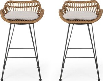 Dale Outdoor Wicker Barstools