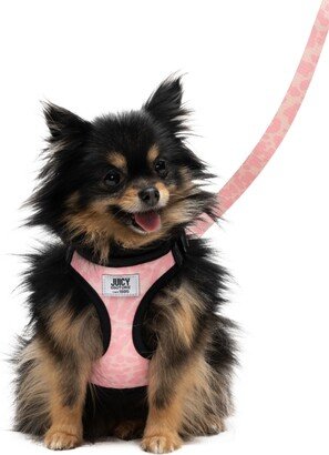 2-Piece Harness Leash Set, Large