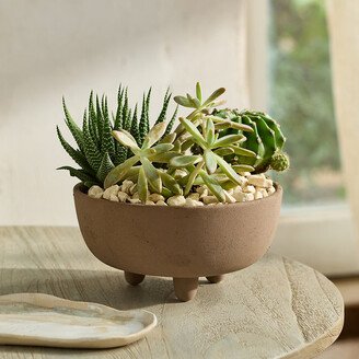 Textured Ceramic Footed Bowl Planter-AA