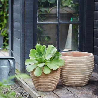 Antiqued Ring Ceramic Jar Planter, 15