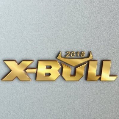 X-Bull Promo Codes & Coupons