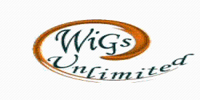 Wigs Unlimited Promo Codes & Coupons