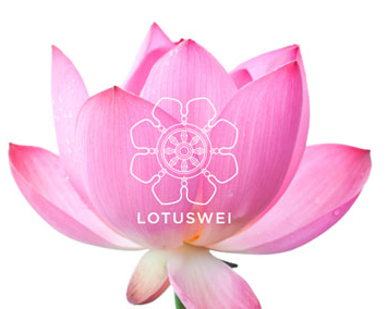 Lotus Wei Promo Codes & Coupons