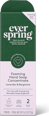 Ultra-Concentrated Hand Soap - Lavender & Bergamot - 0.21oz/2pk - Everspring™