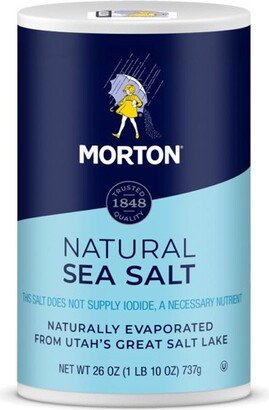 Morton All Purpose Sea Salt - 26oz