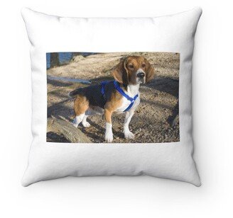 Alert Beagle Pillow - Throw Custom Cover Gift Idea Room Decor