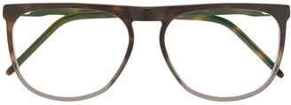 Reiz Zweieck square glass frames