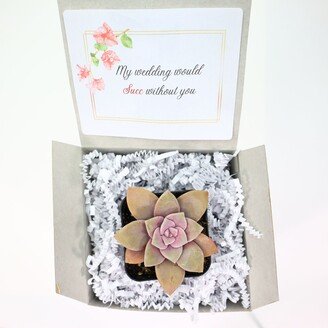 My Wedding Would Succ Without You | Live Succulents Gifts For Plant Lovers Succulent Planters Baby Shower Birthday Party Favor Gift