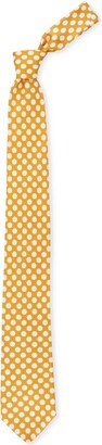 Polka Dots Pattern Printed Tie