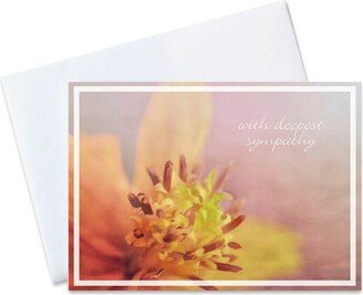 CEO Cards Sympathy Greeting Card Box Set of 25 Cards & 26 Envelopes - S1702