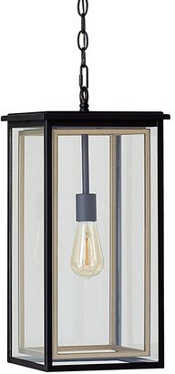 Whitaker Two-Tone Outdoor Pendant