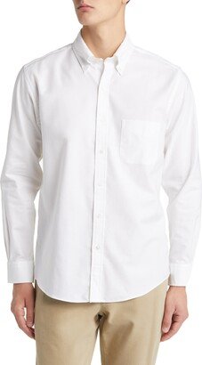 Oxford Button-Down Dress Shirt