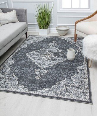 Harper HY50D Black Velvet Petunia Transitional Vintage Gray Area Rug,