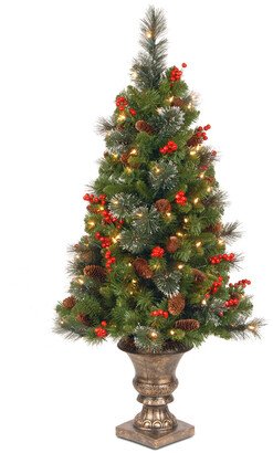 National Tree Company 4Ft Crestwood Spruce Entrance Tree With Clear Lights