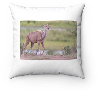 Kudu Antelope Pillow - Throw Custom Cover Gift Idea Room Decor