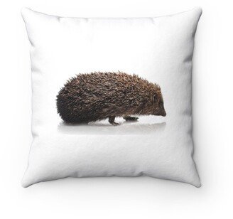 Hedgehog Isolated Pillow - Throw Custom Cover Gift Idea Room Decor