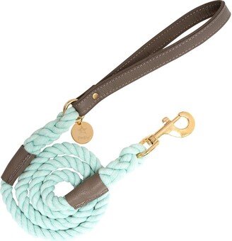 Poisepup Pet Dog 5ft Long Leash - Desert Mint