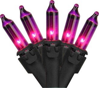 Northlight Set of 35 Purple Mini Christmas Lights 2.5 Spacing - Black Wire