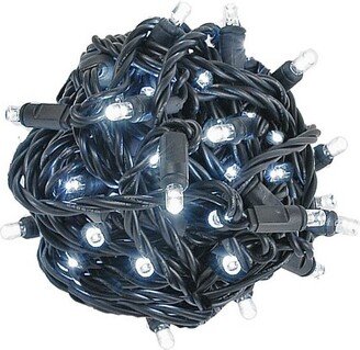 Novelty Lights Inc Novelty Lights 50 Light Pure White LED Christmas Mini Light Set (Black Wire, 25 Feet)