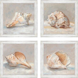 Paragon Picture Gallery Shell Study Framed Art, Set of 4