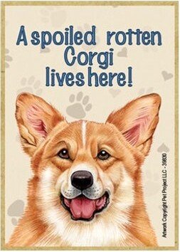 Spoiled Rotten Corgi Lives Here Nice Wood Dog Magnet Fridge Kitchen Locker Any Metal Surface Made in USA 2.5 X 3.5 Free Shipping New