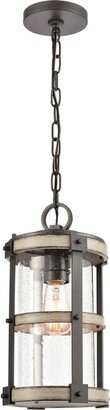 Artistic Home & Lighting Artistic Home Crenshaw 8'' Wide 1-Light Outdoor Pendant