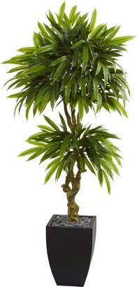 5.5' Mango Artificial Tree in Black Wash Planter Uv Resistant