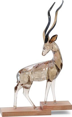 African Sunset Kudu Anya
