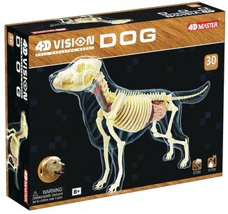 4D Master 4D Vision Full Skeleton Dog Model