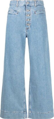 Cropped Wide-Leg Jeans-AQ