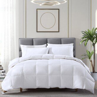 Natural White Down and Feathers All-Season Comforter