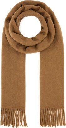 Brown Cashmere Wsdalia Scarf-AA