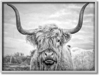 Black and White Highland Cow Photograph Gray Framed Texturized Art, 16 L x 20 H