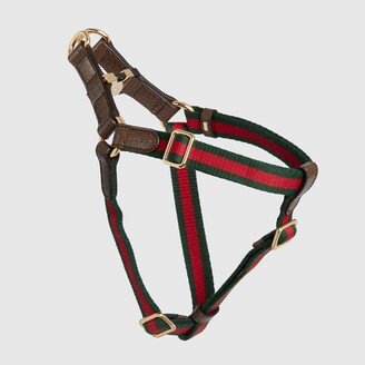 Small/medium pet harness