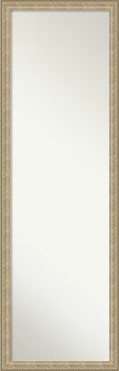 Non-Beveled Full Length On The Door Mirror - Paris Frame - Paris Champagne - Outer Size: 16 x 50 in