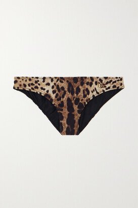 Leopard-print Bikini Briefs - Animal print