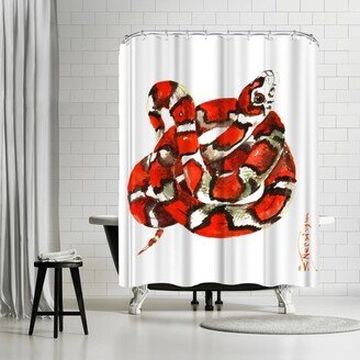 71 x 74 Shower Curtain, Red Milk Snake by Suren Nersisyan