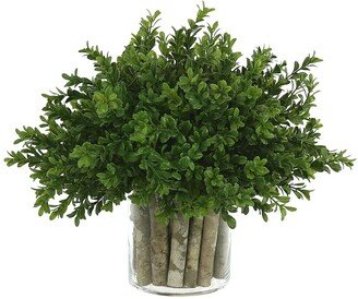 Creative Displays Boxwood In A Glass Vase With Birch Sticks