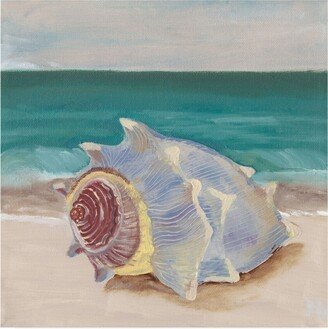 Alicia Ludwig She Sells Seashells Frame I Canvas Art - 15.5 x 21