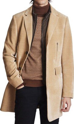 Alexander Coat