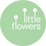 little flowers Promo Codes & Coupons