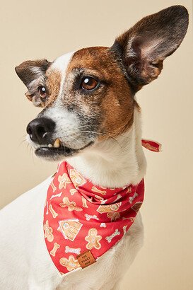 The Foggy Dog Holiday Bandana-AA