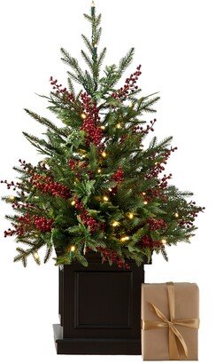 Balsam Hill Outdoor Red Berry Evergreen Pre-Lit Artificial Potted Tree