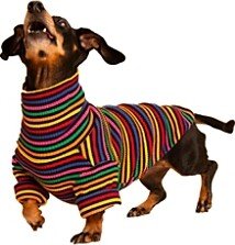 Little Beast Fantastic Sweatshirt for Dogs