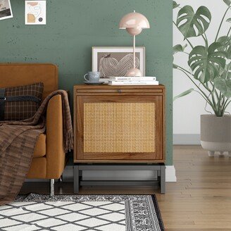 EPOWP Natural Rattan door nightstand