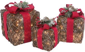 Set Of 3 Holiday Vine Christmas Present Led Outdoor Yard Décor-AA