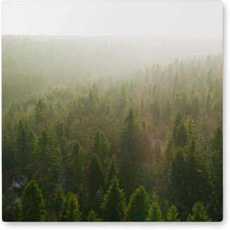 Photo Tiles: Misted Forest Photo Tile, Metal, 8X8, Green